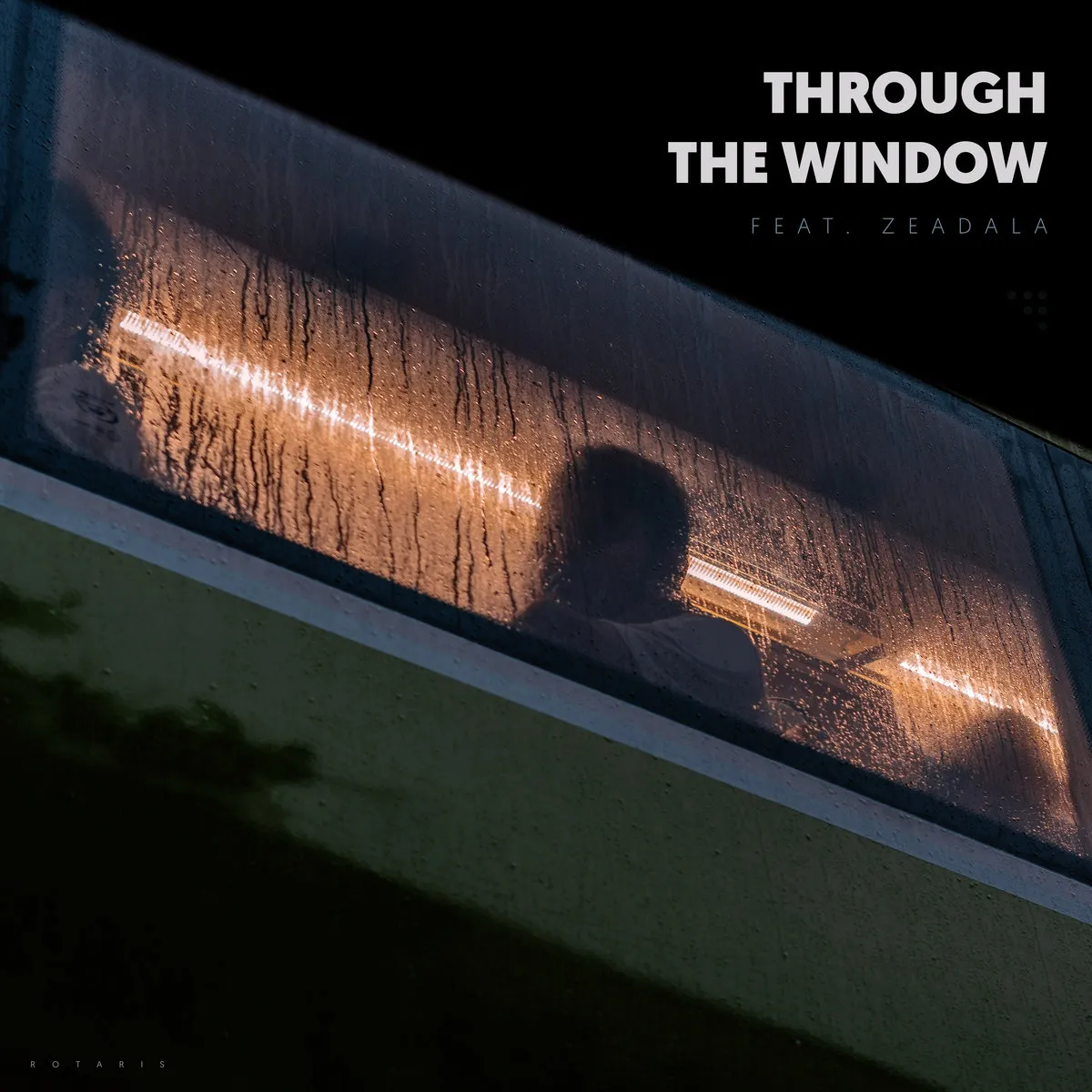 Through the Window cover art